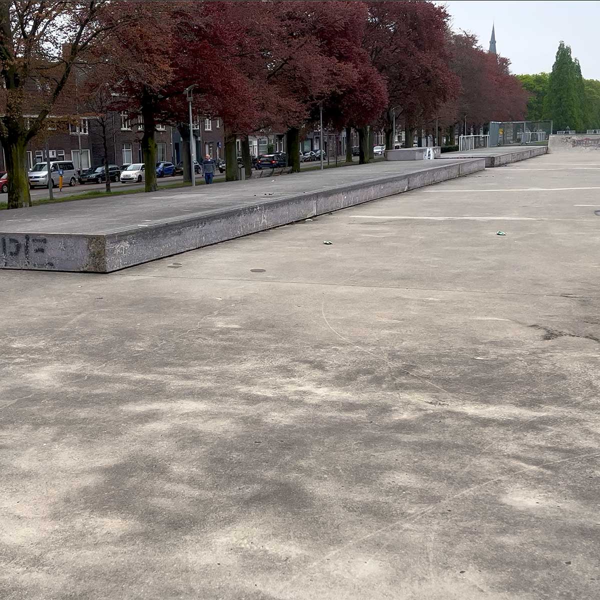 Maastricht-Griend-1